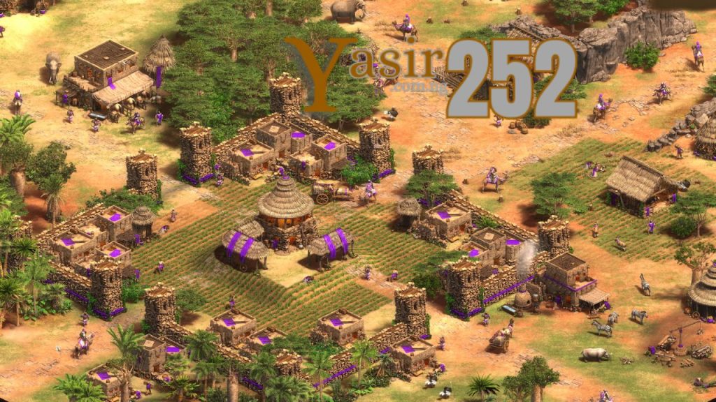 Age of Empires II 