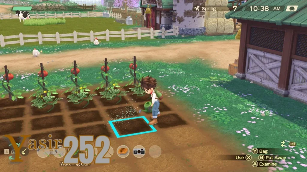 Story Of Seasons A Wonderful Life