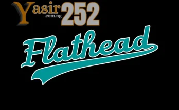 Flathead