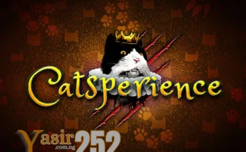 Catsperience