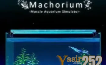 Machorium Muscle Aquarium Simulator