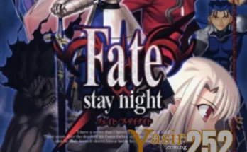 Fate Stay night